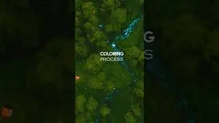 COLOR GRADING PROCESS