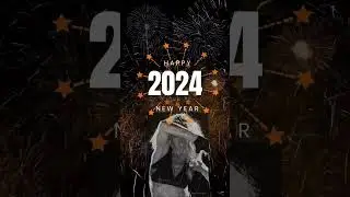 Happy NEW YEAR 🎊 Thank you all for your support and love ❤️ Can’t wait for 2024 🪩 Dance love ❤️