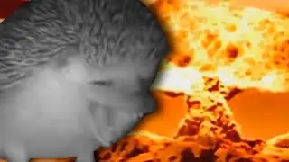 ежик чихает, но перебарщивает