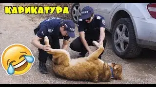 Карикатура Еп.52 - Двата члена