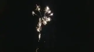 Gator Attack by Nitro Fireworks