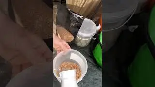 #карпфишинг