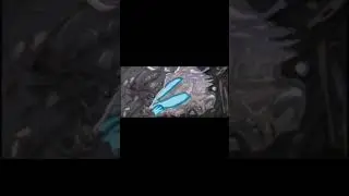 АОАОАОАОАОАО