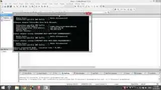 C programs code - Get IP address