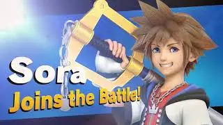 Was SoraforSmash the Reason Behind Dark Road's Delay?