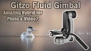 Gitzo Fluid Gimbal Head