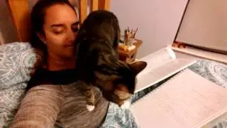 My cat won't let me study