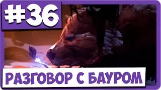 Ori and the Will of the Wisps (#36) - Разговор с Бауром