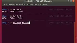 List the content of multiple directories in Linux bash