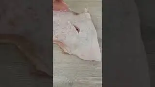 matambrito relleno a la parrilla con mí amigo Jorgito.parrillero. hibridoooo