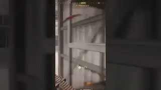 I Should Have Died 