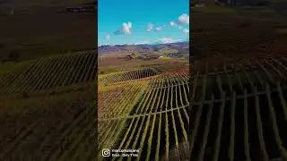 Autunno nelle Langhe 💚🇮🇹