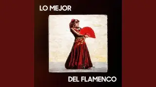 Mi Gitana