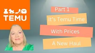 It’s Temu Time With A Haul and Prices
