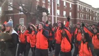 Bedlam 2013