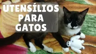 Utensílios Para Gatos