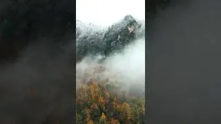 Гуамское ущелье #гуамскоеущелье #гуамка #мезмай #природароссии #туризмвроссии