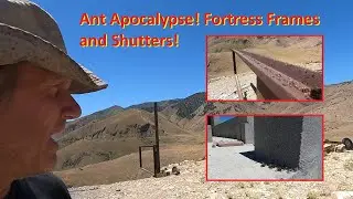 Ant Apocalypse! Fortress Frames and Shutters!