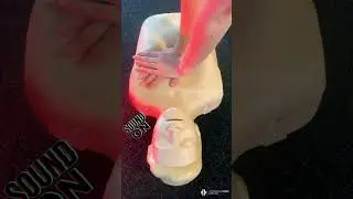 ASMR CPR Manikin