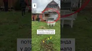 Как быстро исправить сад?