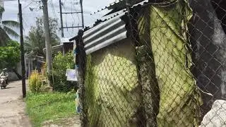IMG 7174