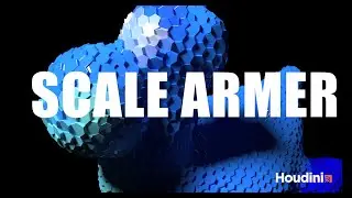 Houdini Scale Armer