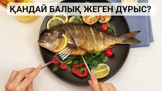 БАЛЫҚТЫҢ АДАМ ҮШІН 10 ПАЙДАСЫ