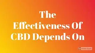 Effect Of CBD On An Empty Stomach?