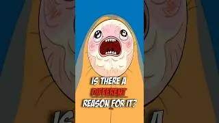 Why is Finn Afraid of the Ocean?😳🌊