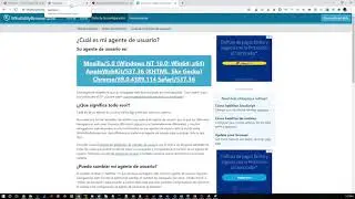 Gestión de BOT's - Parte 2 - Suplantación de User Agent.