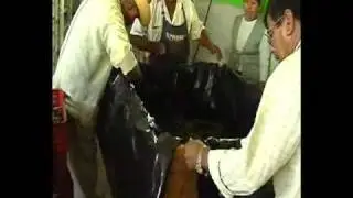 beneficio de vainilla 2 de 3.avi