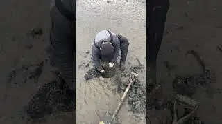 어디숨었니?#fishing #낚시 #우럭조개 #해루질