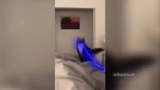 ЭТО ВСЁ МАГИЯ