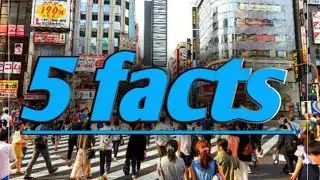 fact video facts video fact video editing