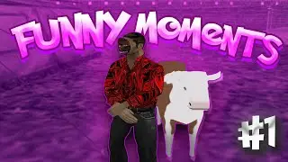 FUNNY MOMENTS GTA CRMP #1