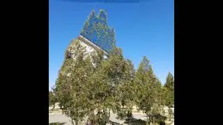 "Мектеп ауласы" атты шеру