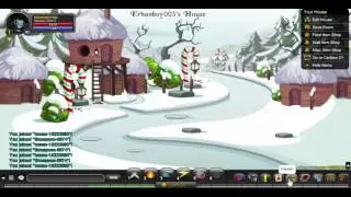 AQW : (Glitch) How to level up Fast From lvl 1-65