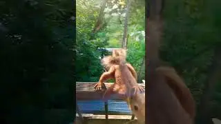 Стёпочка 