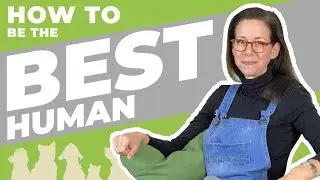 Responsible Dog Owner - Part 1