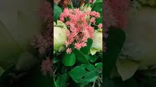Цветы 💐 #декор / Flowers 💐 #decor