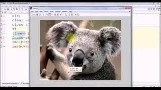 Image Processing Basics in Matlab Part 1  :Pixel Basics, Color Channels, Gray Conversion