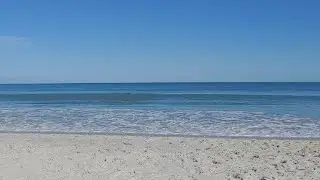 Just The Ocean Live