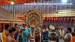 Madhur Brahmakalashosthava 2k25 | Darshana Bali |03-04-2025 Morning |ಮಧೂರು ಬ್ರಹ್ಮಕಲಶೋತ್ಸವ ದರ್ಶನ ಬಲಿ|