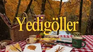 Turkiye's Autumn Paradise: Yedigöller, Bolu  🍂