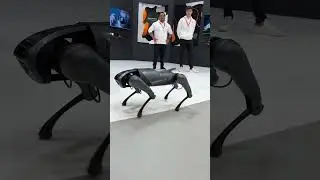 I Cyber Dog di Xiaomi sono dei cagnolini robot progettati per il soccorso o per la sicurezza 