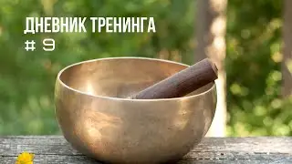 ДНЕВНИК ТРЕНИНГА | День 9