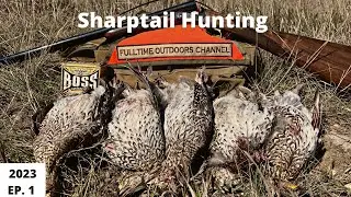 North Dakota Sharptail Hunting 2023 EP. 1