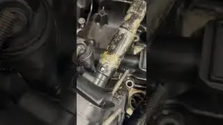 😳 The other shop told her they replaced the gasket. When you wish you would’ve just paid more. 😳