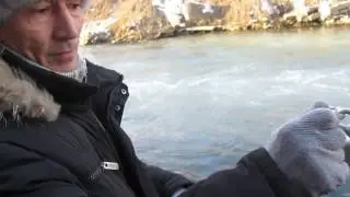 поисковый магнит владивосток