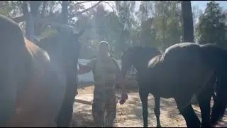 Экспедиционный выезд в парадной форме на лошадях